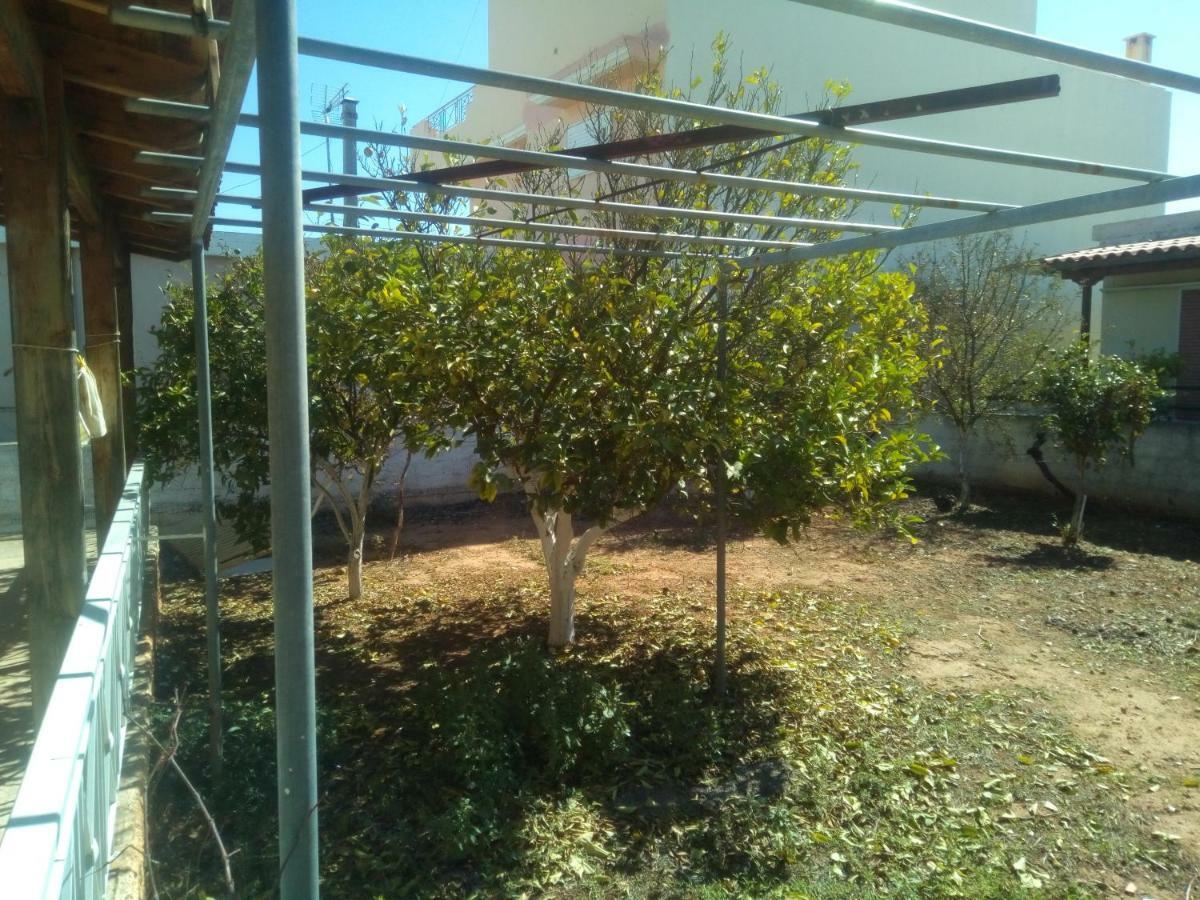 Vangelis House Near Athens Airport 아르테미다 외부 사진