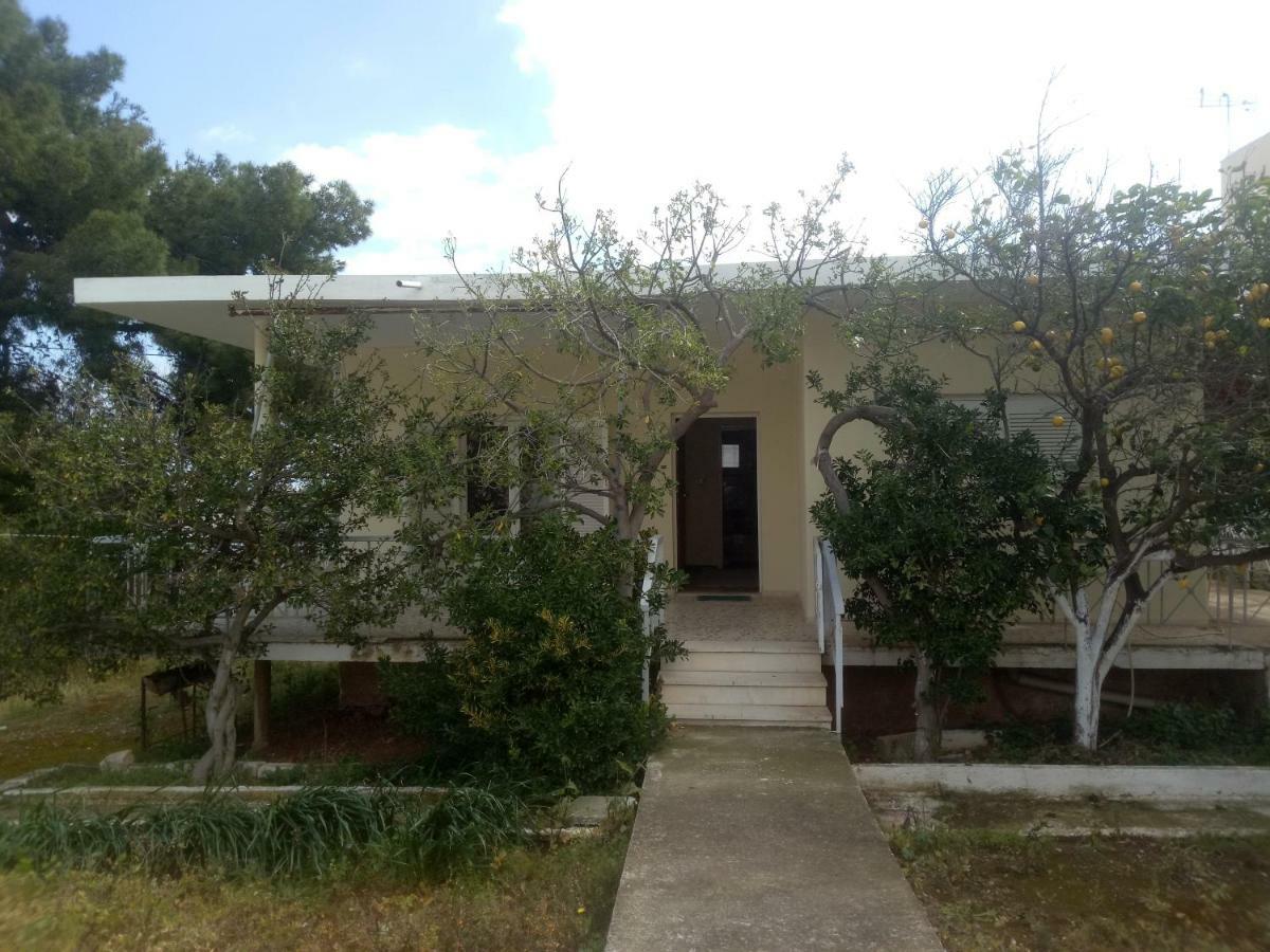 Vangelis House Near Athens Airport 아르테미다 외부 사진